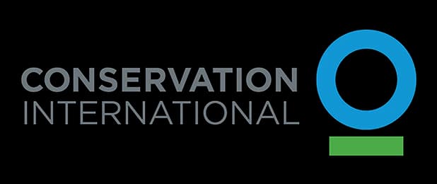 ci logo